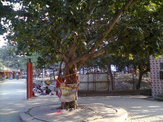 The Kankalitala Temple